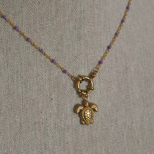 Collar tortuga